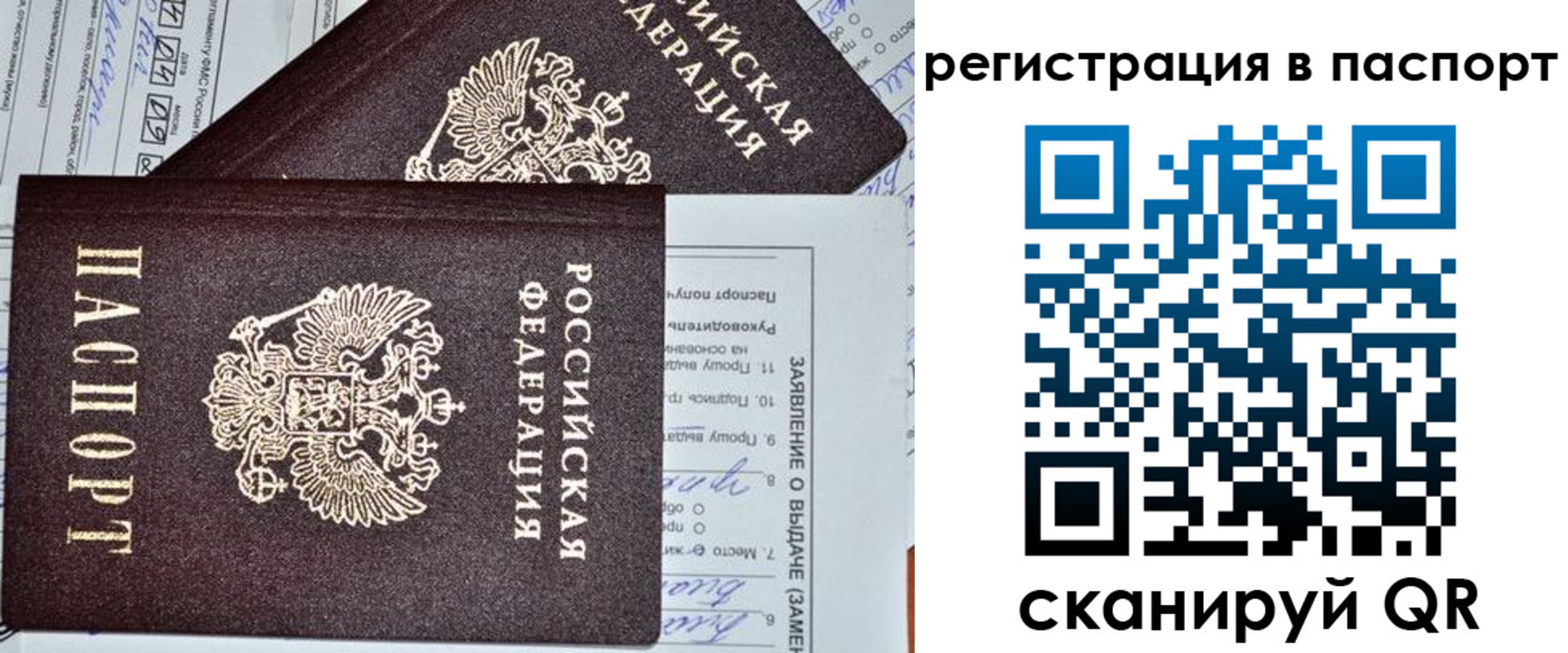прописка законно в Ставрополе